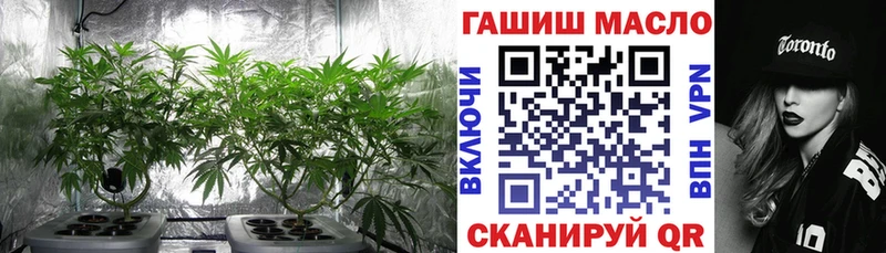 blacksprut tor  купить   Евпатория  ТГК THC oil 